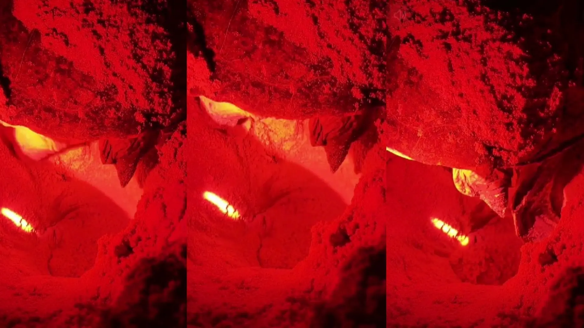 Mother sea turtle nesting under red conservation lighting on Bay Canh Island
