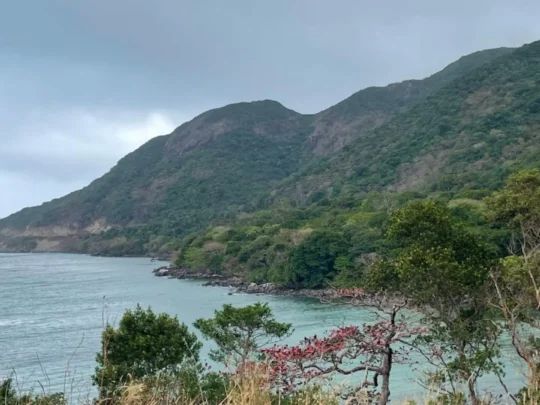Mountain and coastal landscape of Con Dao National Park near Ong Cau Beach hiking route