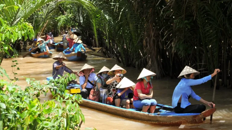 Narrow canal shaded by lush water coconut trees in My Tho Mekong Delta Tour