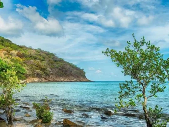 Ong Cau Beach Con Dao with rocky coastline, tropical forest, turquoise sea, and peaceful nature landscape