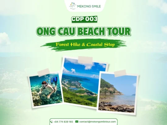Ong Cau Beach Tour: Forest Hike & Coastal Stop