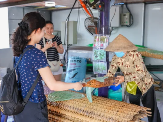 Visiting a traditional rice noodle factory in Can Tho