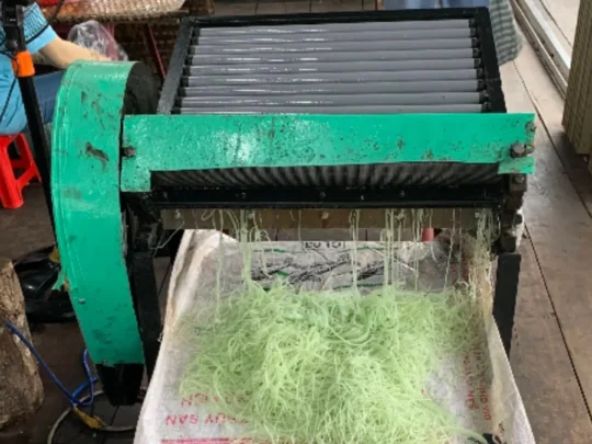 Fresh rice noodles coming through a noodle-making machine in Can Tho