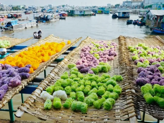 Colorful rice noodle sheets drying beside the river in Can Tho