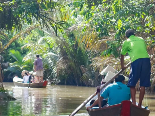 Rowing sampan through a coconut-lined canal during the Ben Tre tour