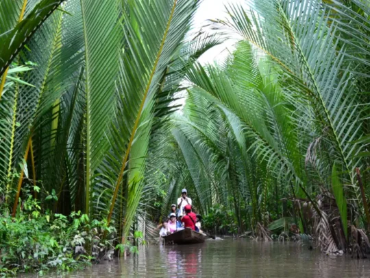 Rowing sampan boat through shady palm-lined canals in the Mekong Delta