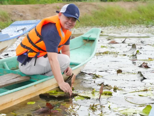 Sampan boat rowing through water lily swamp in Chau Doc