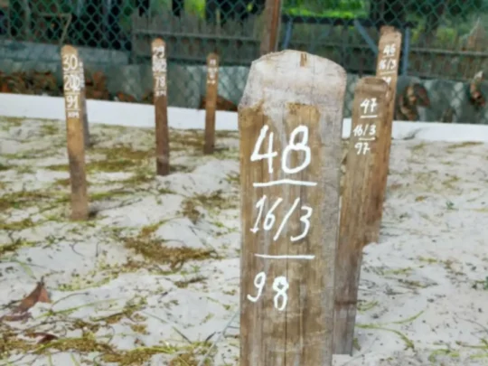 Sea turtle nest marker at Bay Canh Island conservation area