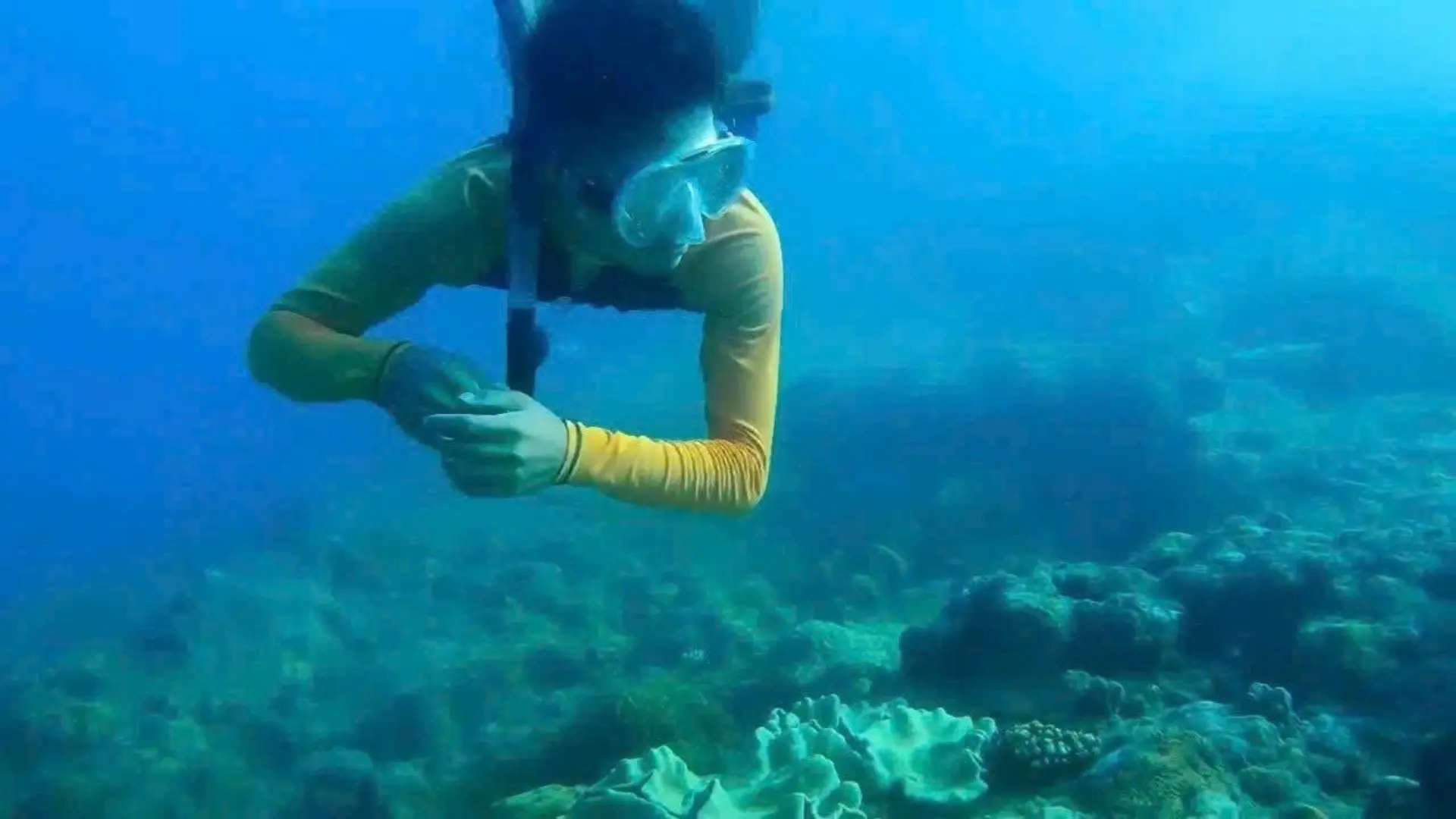 Traveler snorkeling above coral reef in clear Con Dao water
