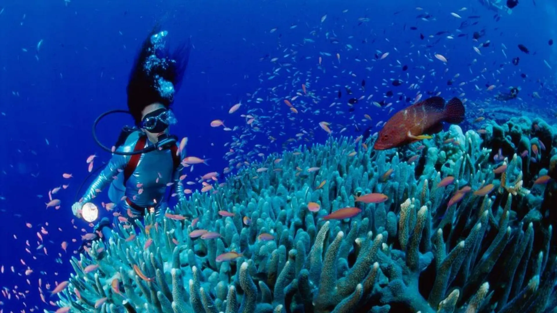 Snorkeling above coral reefs near Trung Island Con Dao