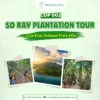 So Ray Plantation Tour: Con Dao National Park Hike