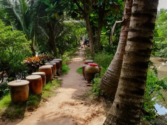 A cool and shaded countryside road on Son Islet, with lush greenery on both sides.