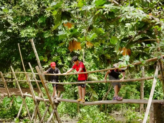 Local countryside children gracefully crossing a traditional monkey bridge, a part of their daily routine.