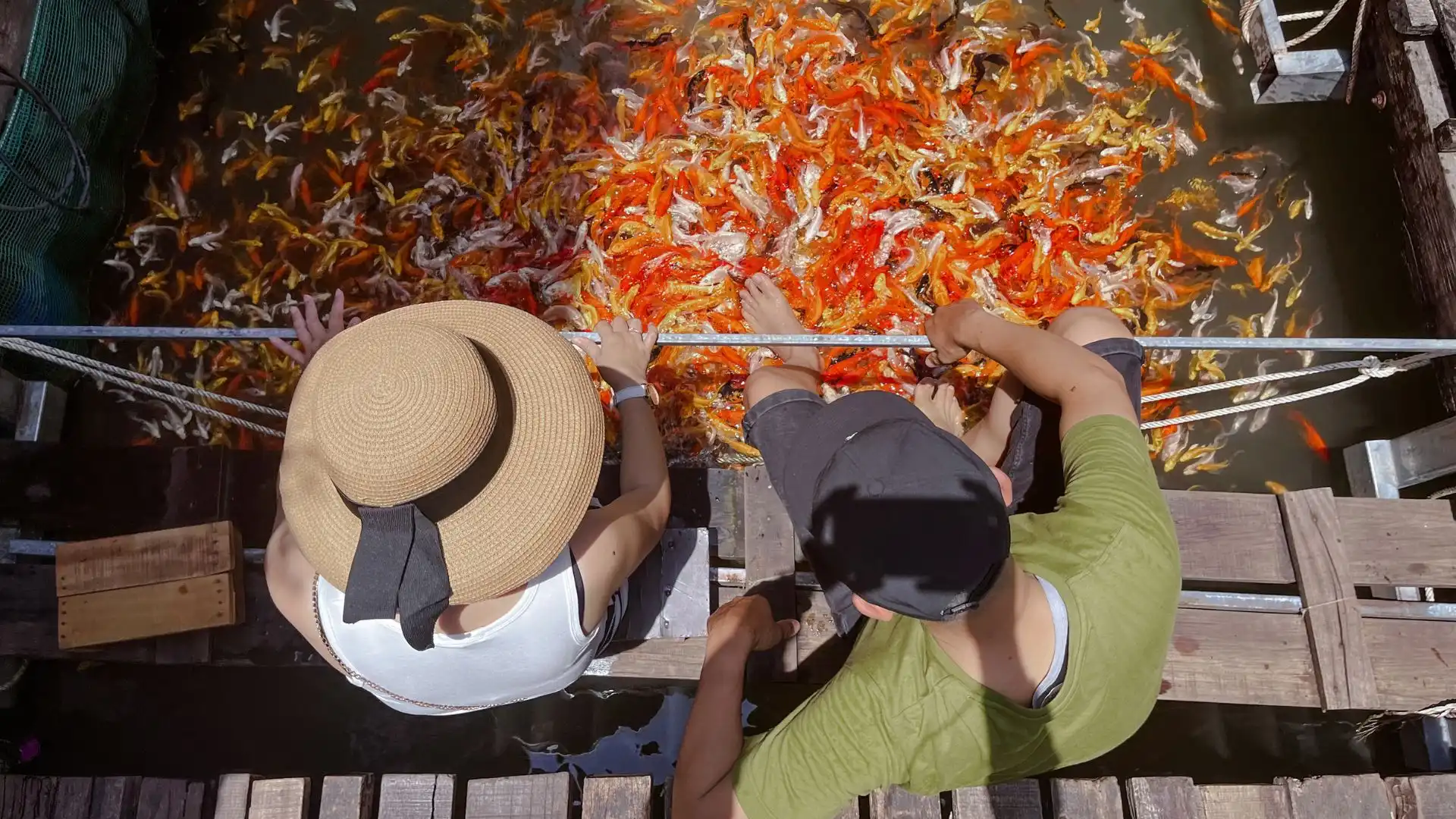 A group of people enjoying a koi fish massage together, a fun experience to share with loved ones.