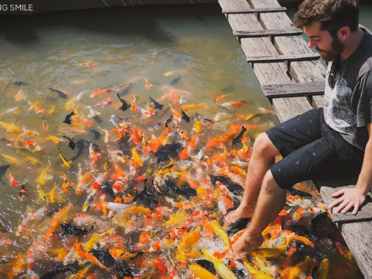 A person reacting with delight to the new and exciting sensation of a koi fish massage.