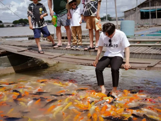 A person getting a unique koi fish massage, where their feet are submerged in a pond with colorful fish.