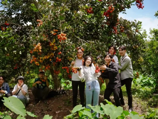 A group of tourists showing their excitement while visiting a lush, fruit-filled garden on Son Islet.
