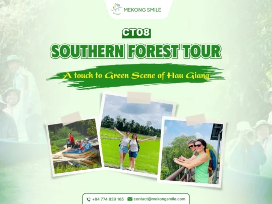 A serene photo of a longboat navigating a narrow, lush waterway in a southern forest