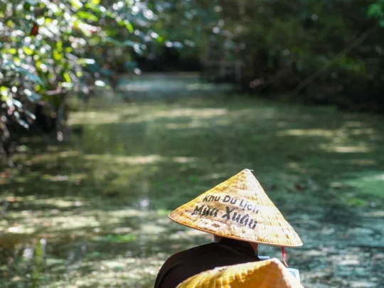 A local guide pointing out diverse flora and unique plant species to a group of tourists