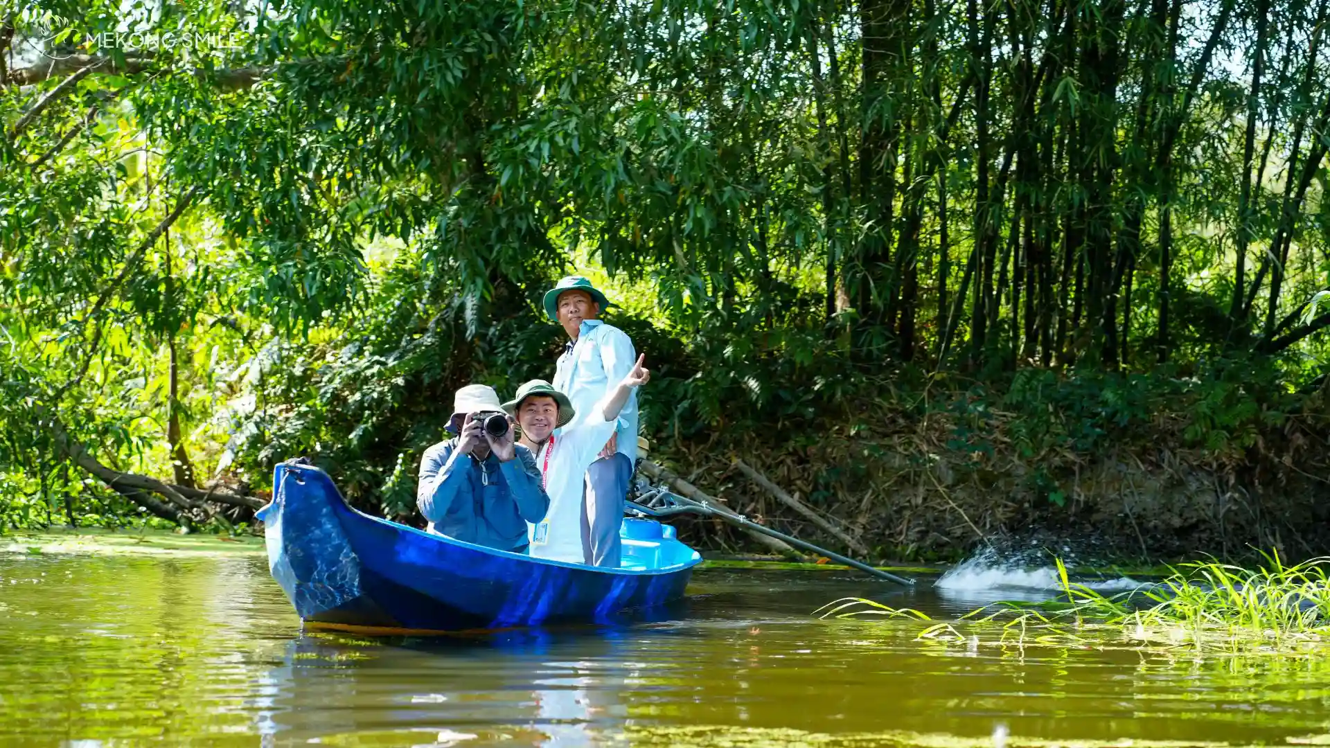 An impressive view of stork colonies nesting in the trees, a major highlight for birdwatching
