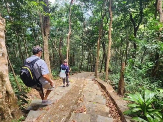 Stone hiking path on the Nui Chua Con Dao trail