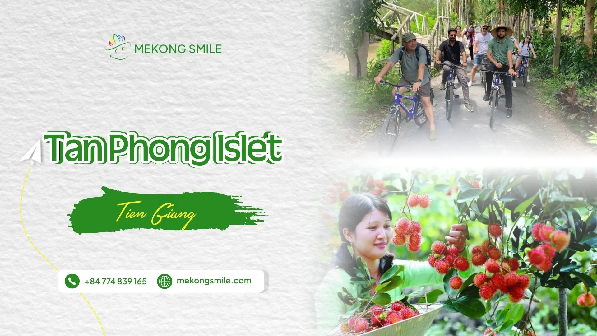 Visitors cycling under fruit tree canopies and harvesting ripe rambutans at a Tan Phong Islet orchard