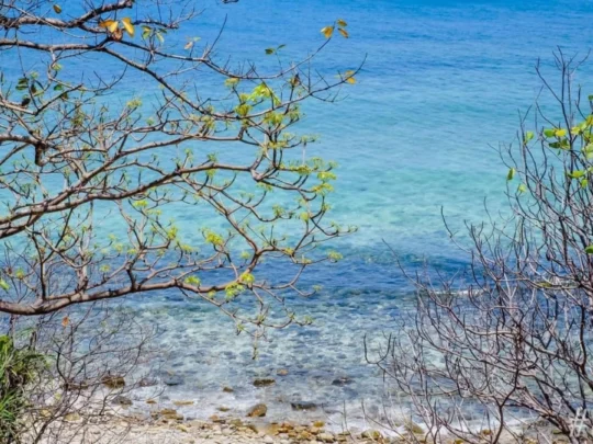 The pristine beauty of Bai Bang Beach, Con Dao. / Source: Su Su