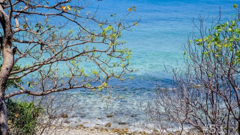 The pristine beauty of Bai Bang Beach, Con Dao. / Source: Su Su