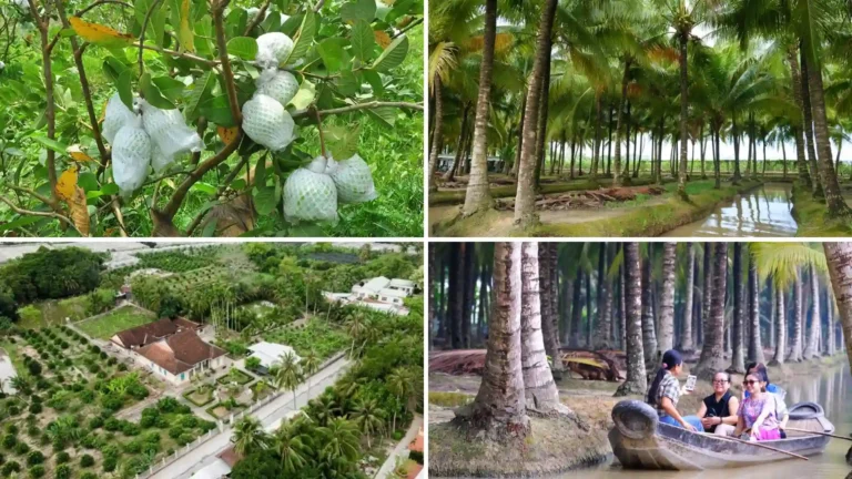 Fruit gardens, coconut groves and heritage sites on Tan Loc Islet