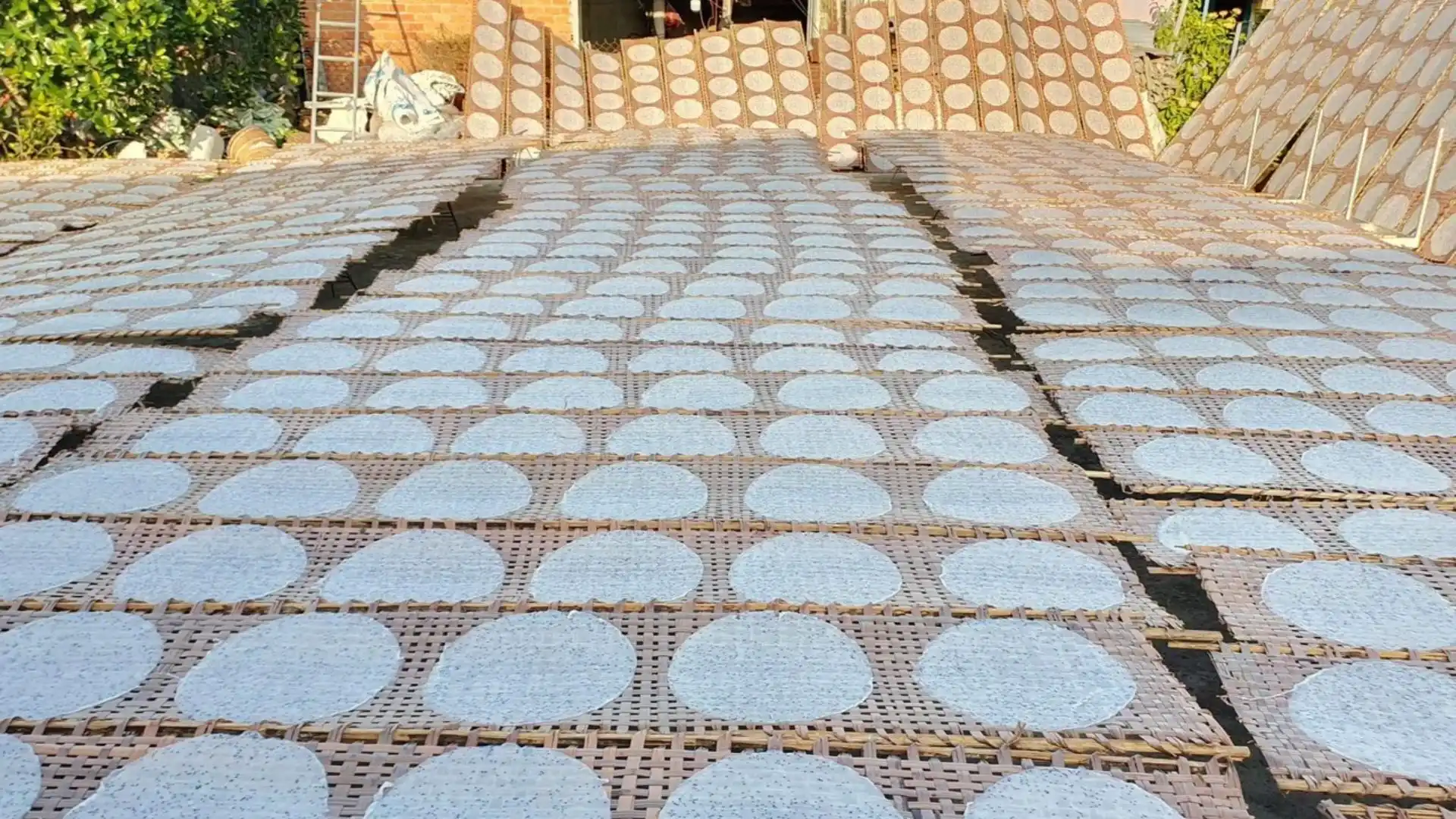 Rows of rice paper drying naturally under the sun at Thuan Hung Rice Paper Village in Can Tho