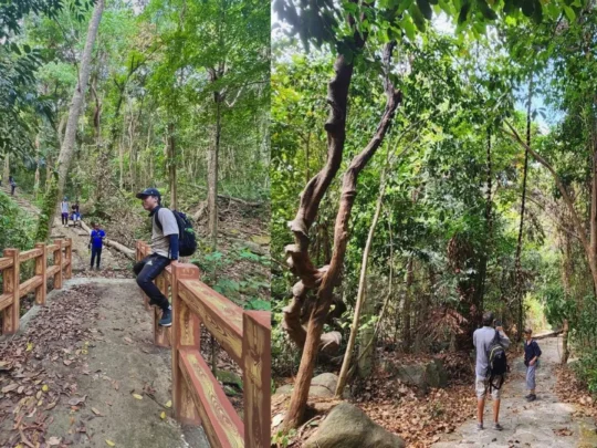 Tourists taking photos while hiking.