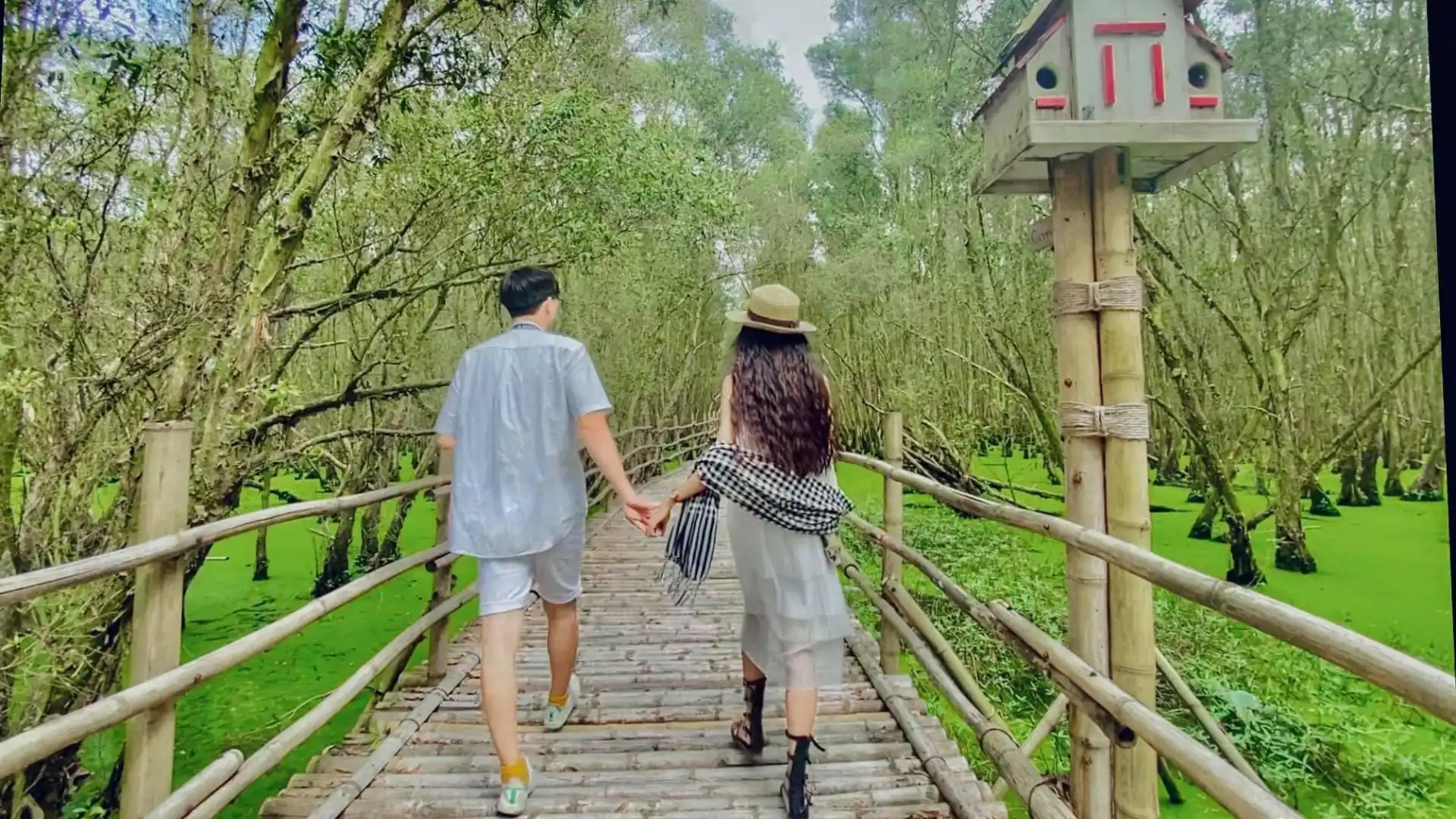 Tra Su Cajuput Forest 2026: Tickets, Boats & When to Visit 42 Visitors walking along a bamboo walkway in Tra Su Cajuput Forest