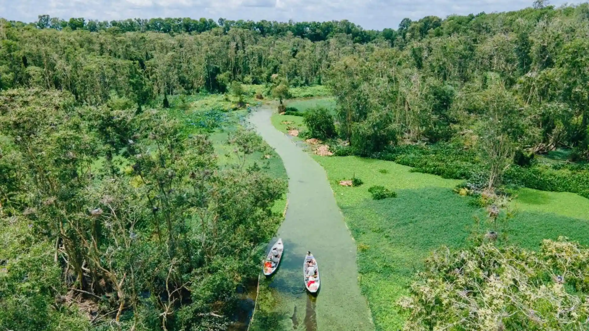 Tra Su Cajuput Forest 2026: Tickets, Boats & When to Visit 35 Aerial view of Tra Su Cajuput Forest and its wetland waterways