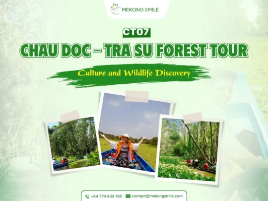 A photo of a sampan gliding through a green, duckweed-covered canal in Tra Su Forest