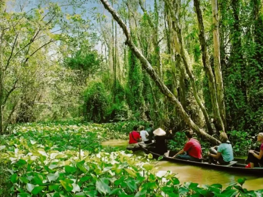 A tour sampan turning into a small, hidden canal, revealing wild and untouched nature
