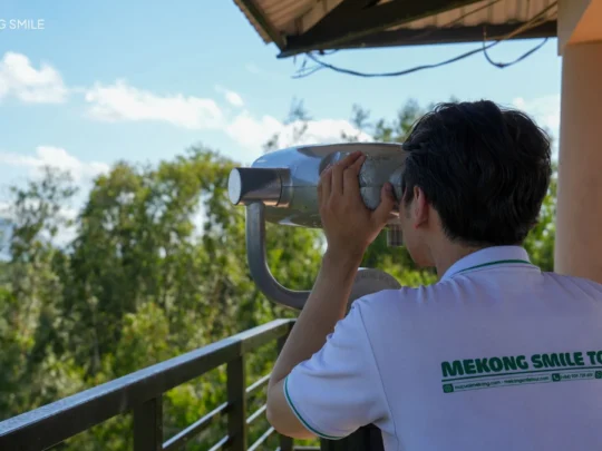 A person observing birds and the vast forest below from the high observation deck