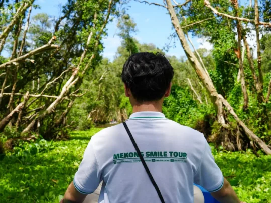 A peaceful scene in Tra Su Forest, inviting visitors to relax and breathe the fresh, clean air