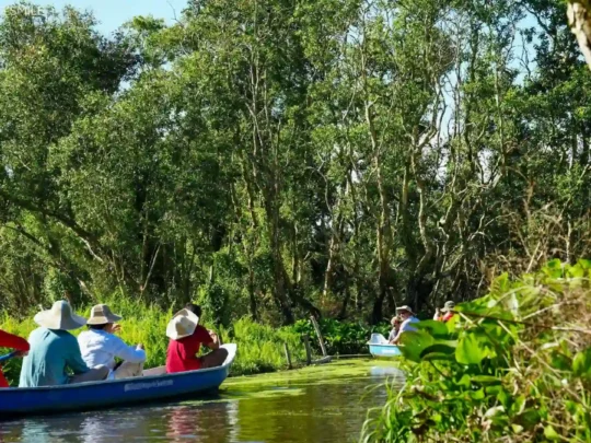 A tourist riding a traditional sampan into the serene Tra Su cajuput forest, beginning an ecotourism adventure