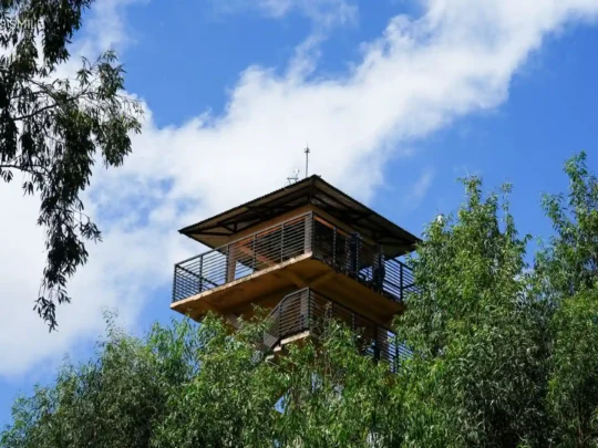 The high observation deck at Tra Su Forest, offering panoramic views of the entire sanctuary