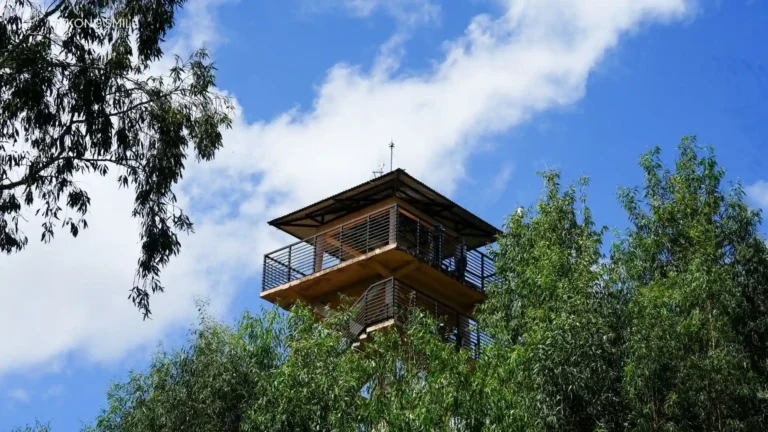 The high observation deck at Tra Su Forest, offering panoramic views of the entire sanctuary