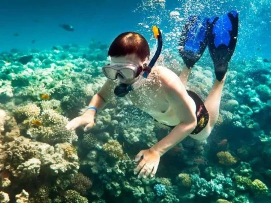 Traveler snorkeling in clear blue water during Con Dao snorkeling tour at Ong Cau Beach