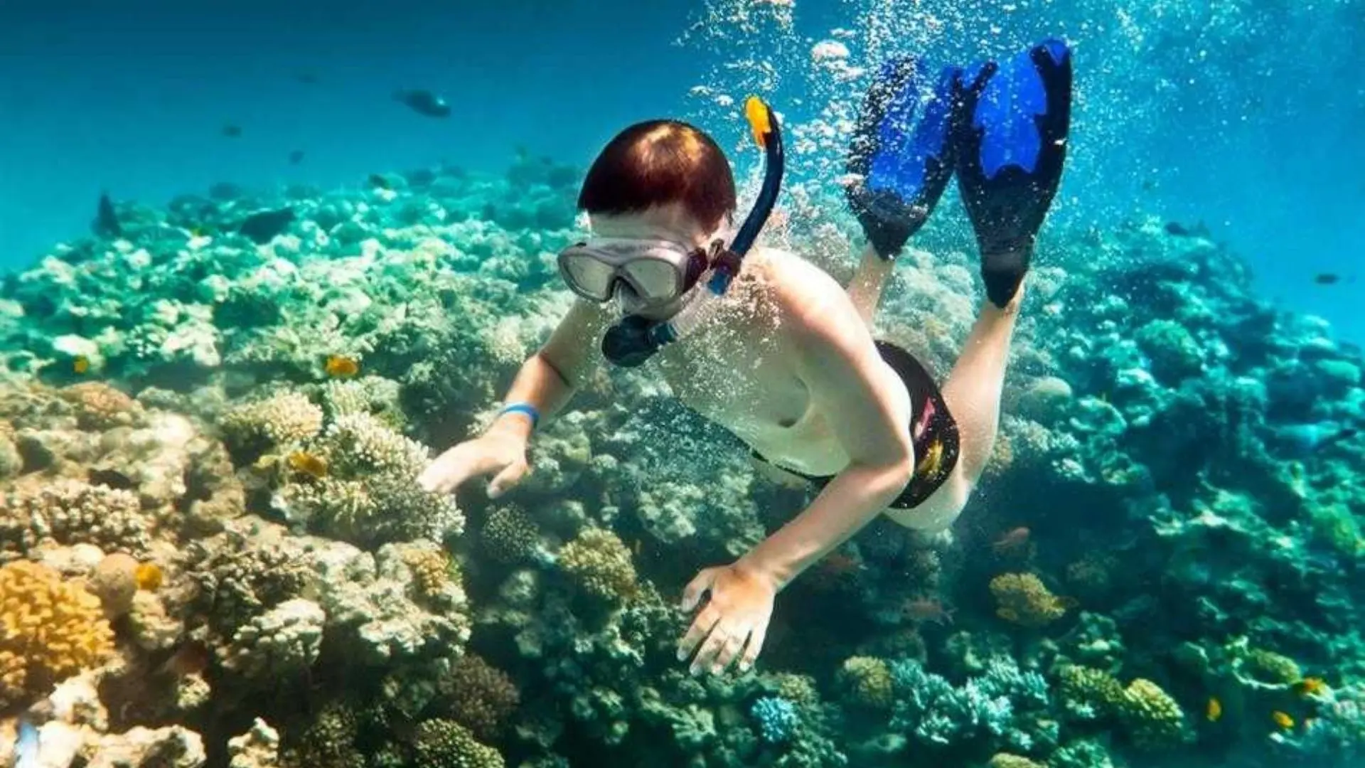 Traveler snorkeling in clear blue water during Con Dao snorkeling tour at Ong Cau Beach