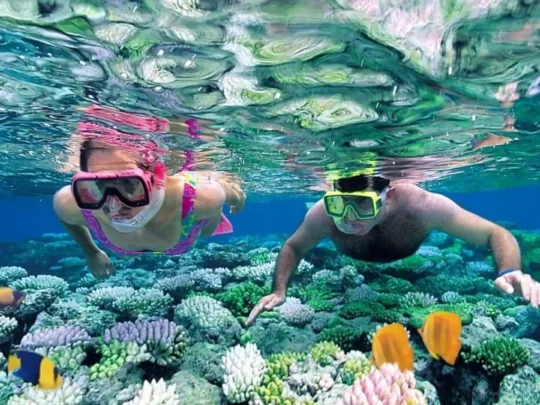 Travelers snorkeling above colorful coral reefs during the Bamboo Lagoon Con Dao tour