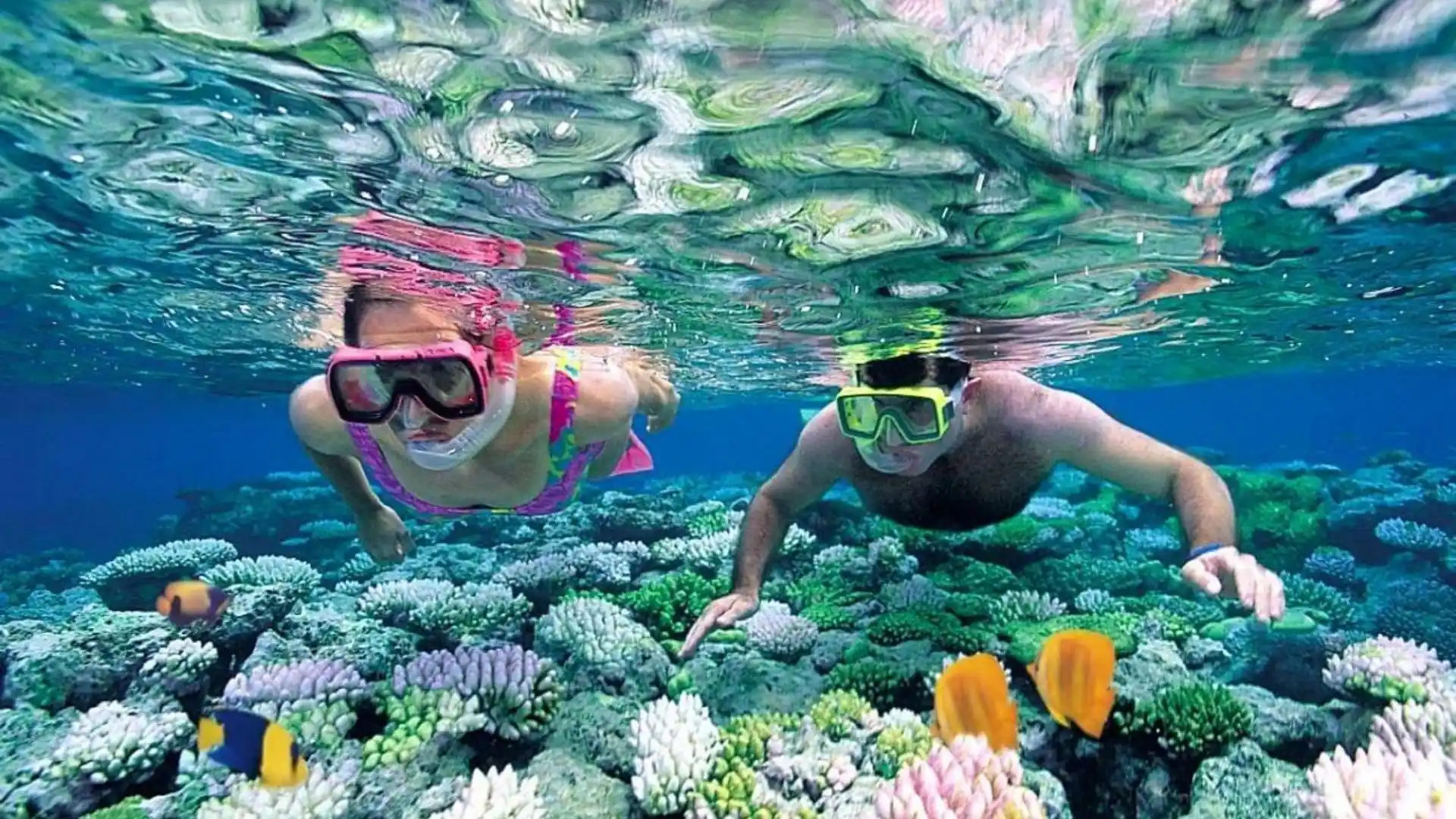 Travelers snorkeling above colorful coral reefs during the Bamboo Lagoon Con Dao tour