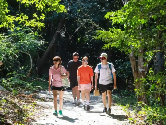 Travelers walking through forest on Nui Chua Con Dao hike tour