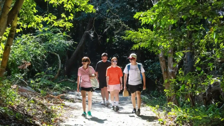 Travelers walking through forest on Nui Chua Con Dao hike tour
