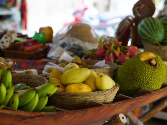 Exploring tropical fruit garden in Can Tho during Mekong Delta tour