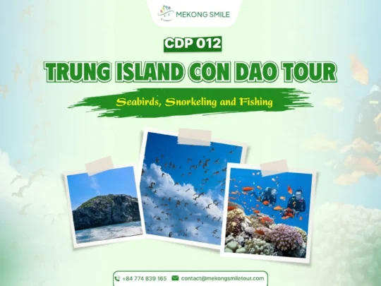 Trung Island Con Dao Tour seabirds snorkeling and fishing