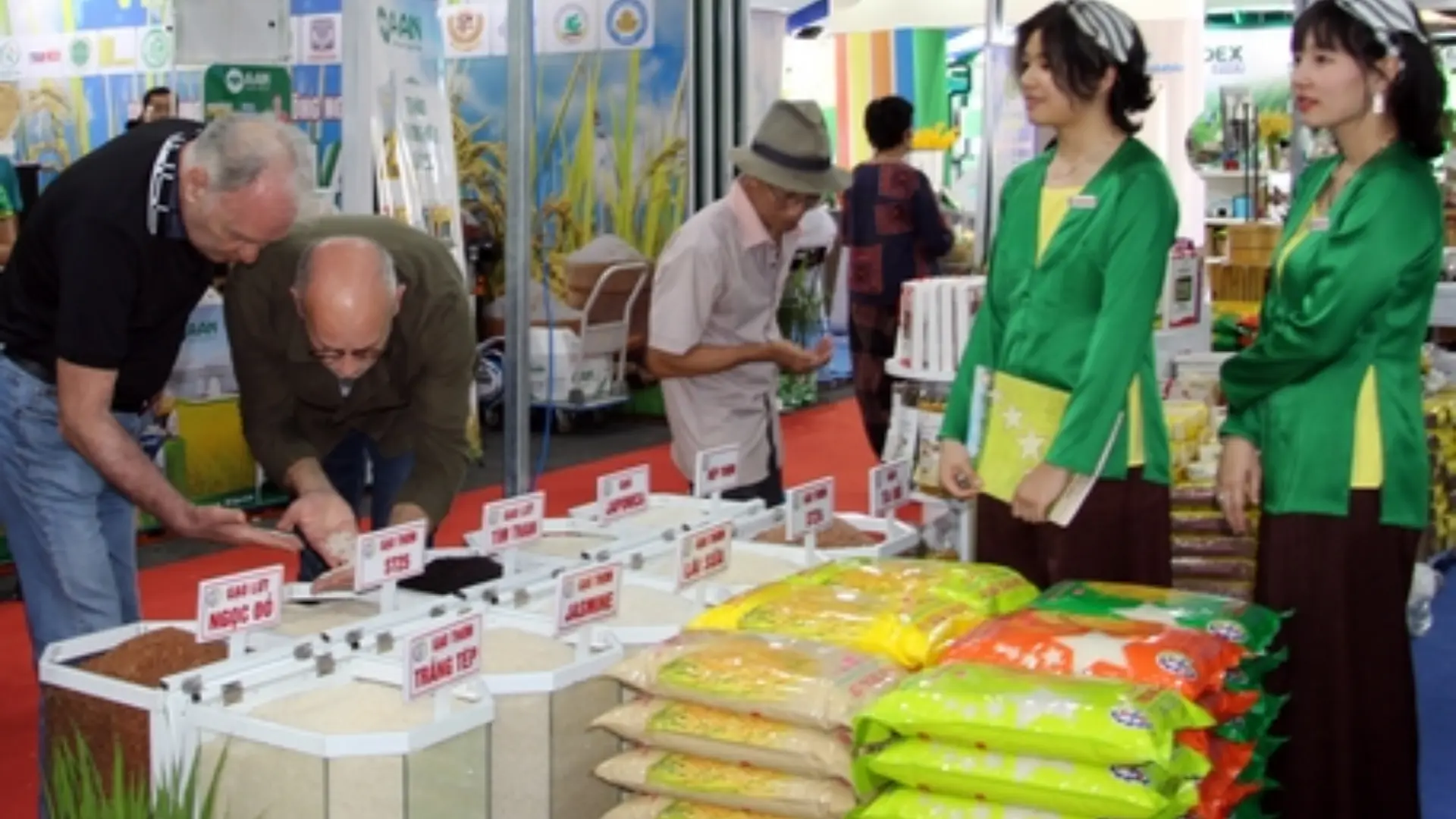 Vietnam Rice Festival 2026 in Can Tho: Schedule & Visitor Guide 10 Visitors examining different rice varieties and packaged rice products at an agricultural exhibition