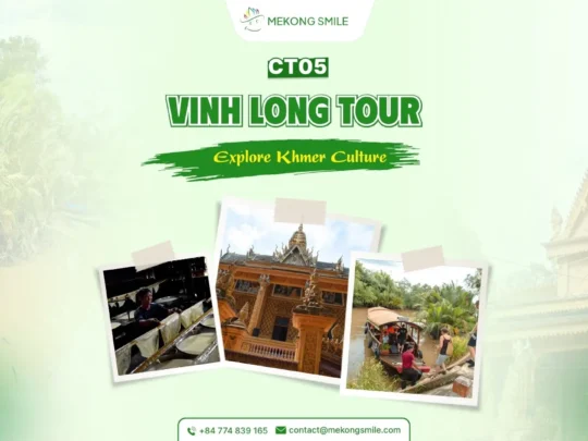 A photo of a local market or a riverside village in Vinh Long, a popular destination in the Mekong Delta